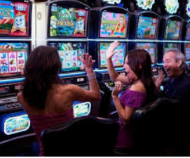 vwin德赢官网首页2024最新版