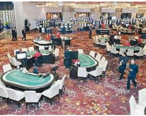 vwin德赢官网首页2024最新版